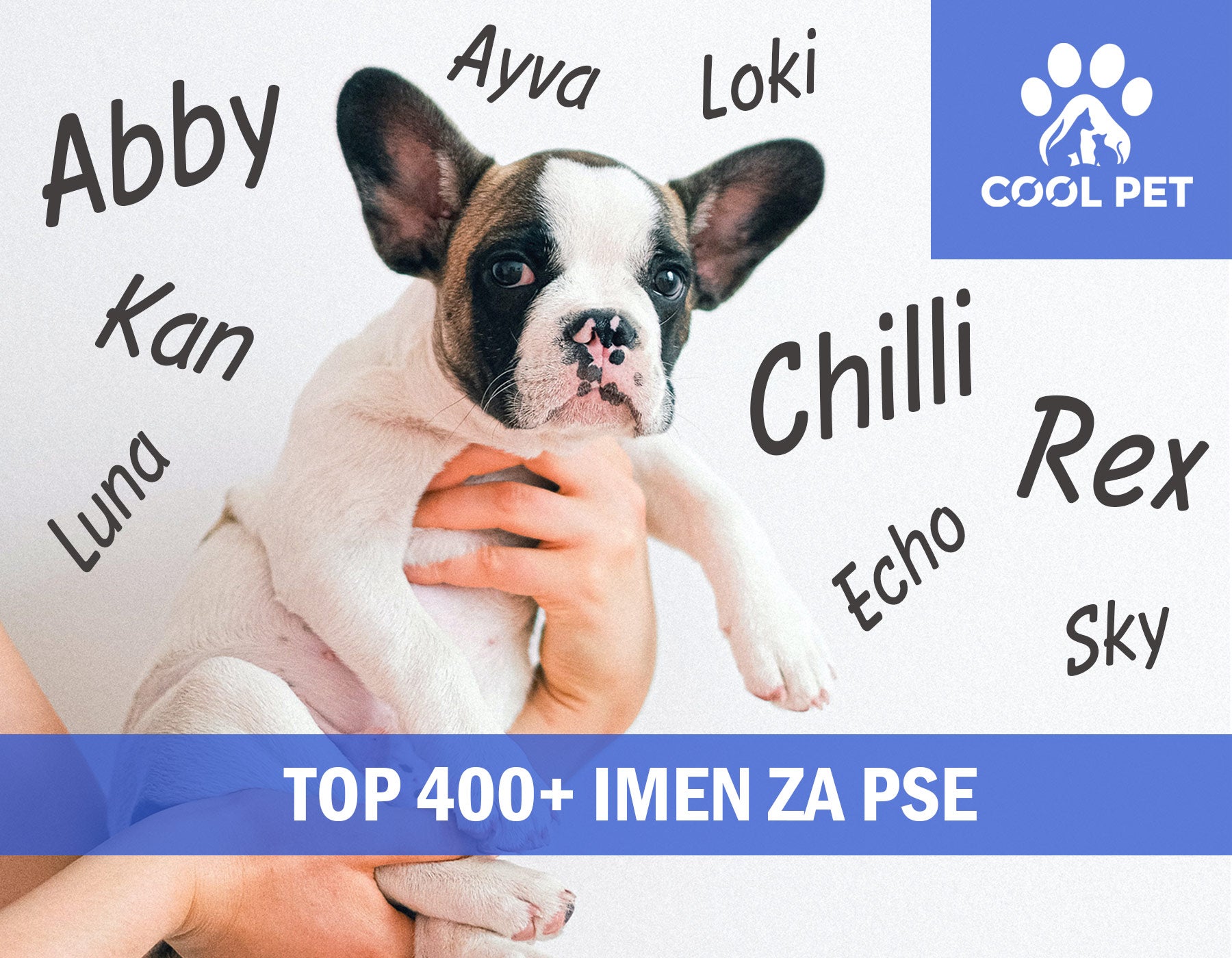 Top 400+ imen za pse  -  pomen in izvor imen