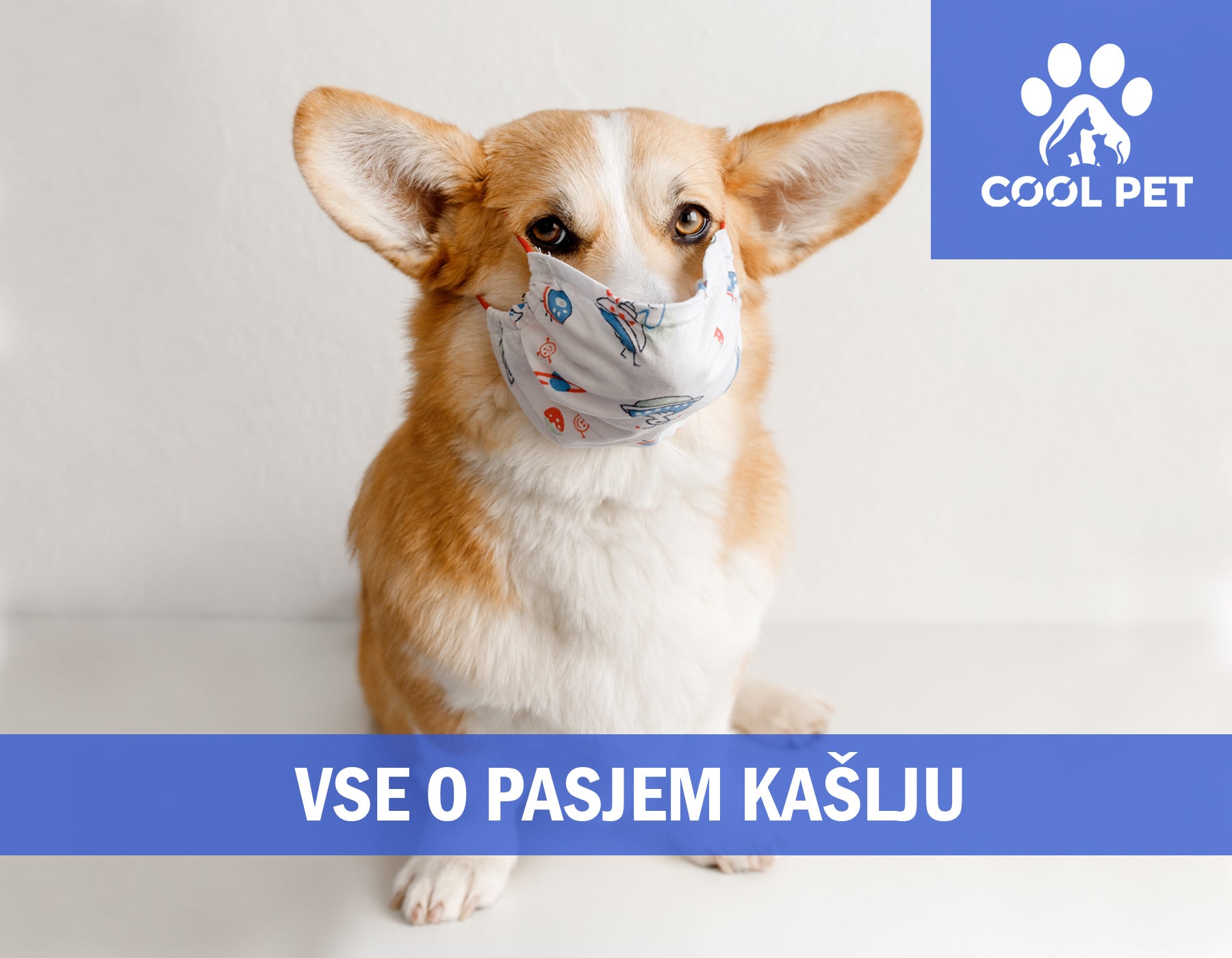 Pasji kašelj: Vzroki, simptomi in zdravljenje