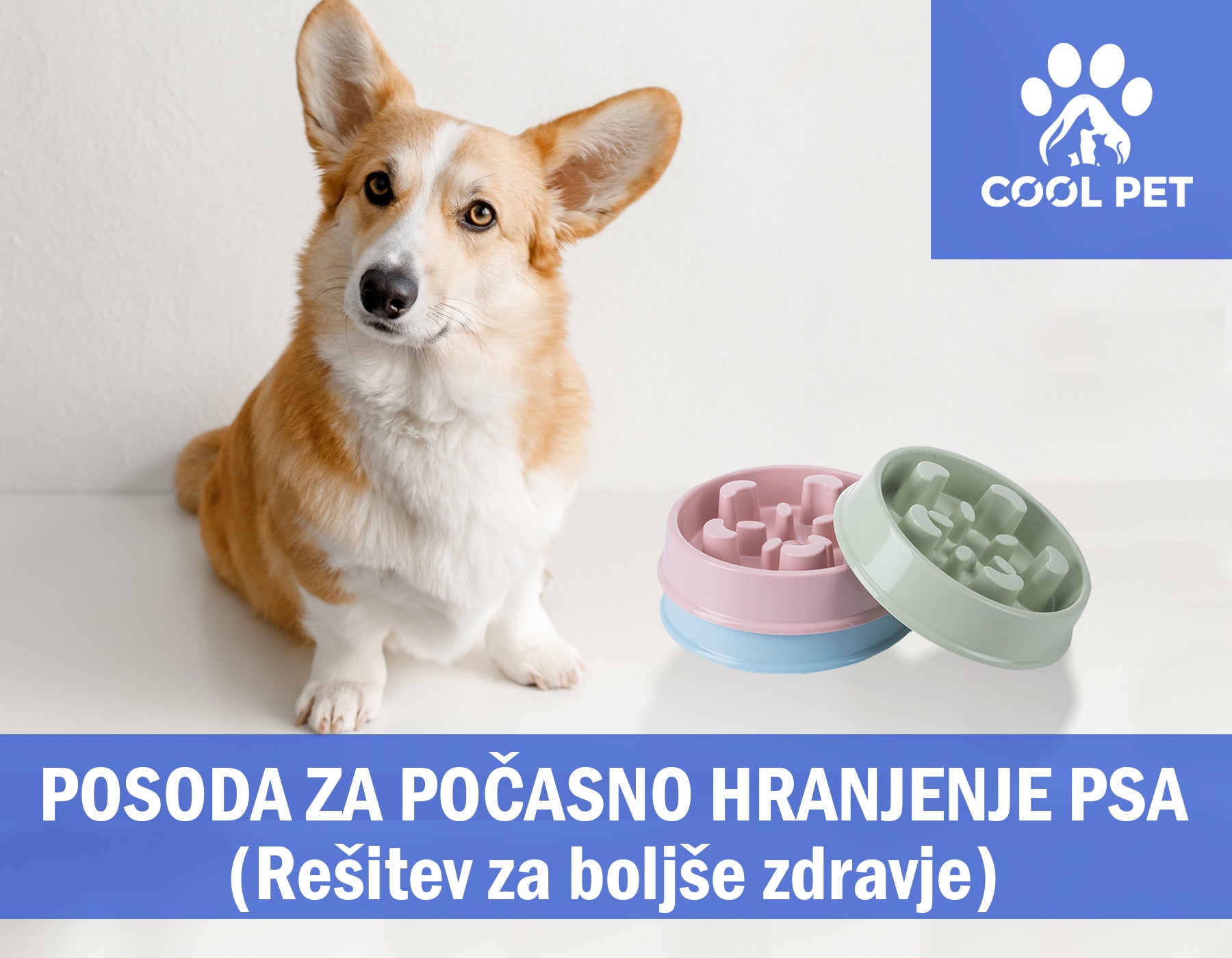 Posoda za počasno hranjenje psa: ključ do boljšega zdravja