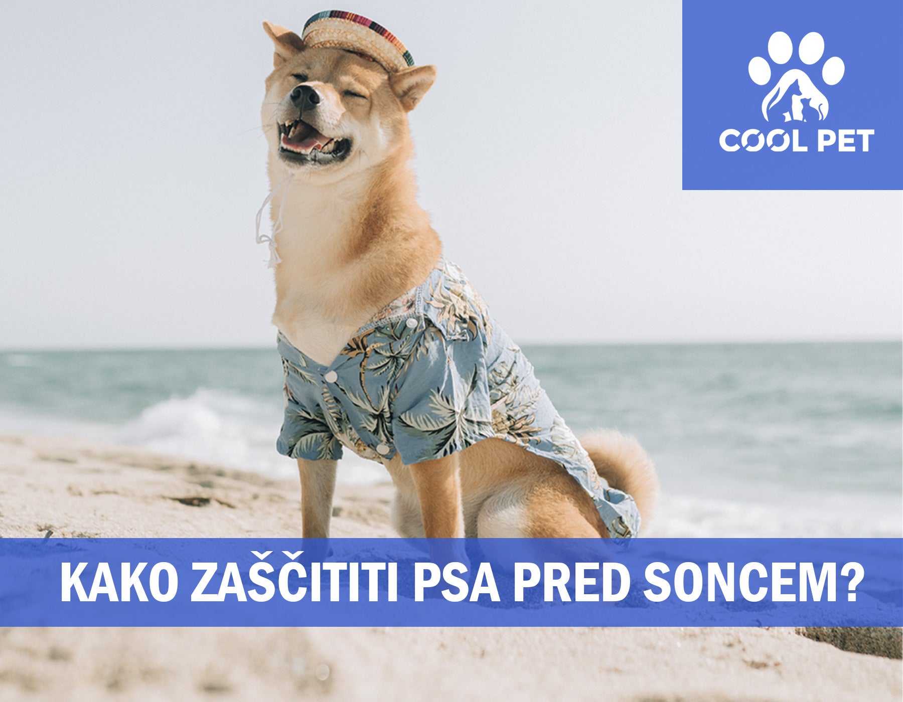 Sončni žarki, jeziki ven: Zaščitite svojega štirinožnega prijatelja v poletnih dneh