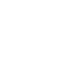 Cool Pet - Vrhunska ponudba izdelkov za hišne ljubljenčke