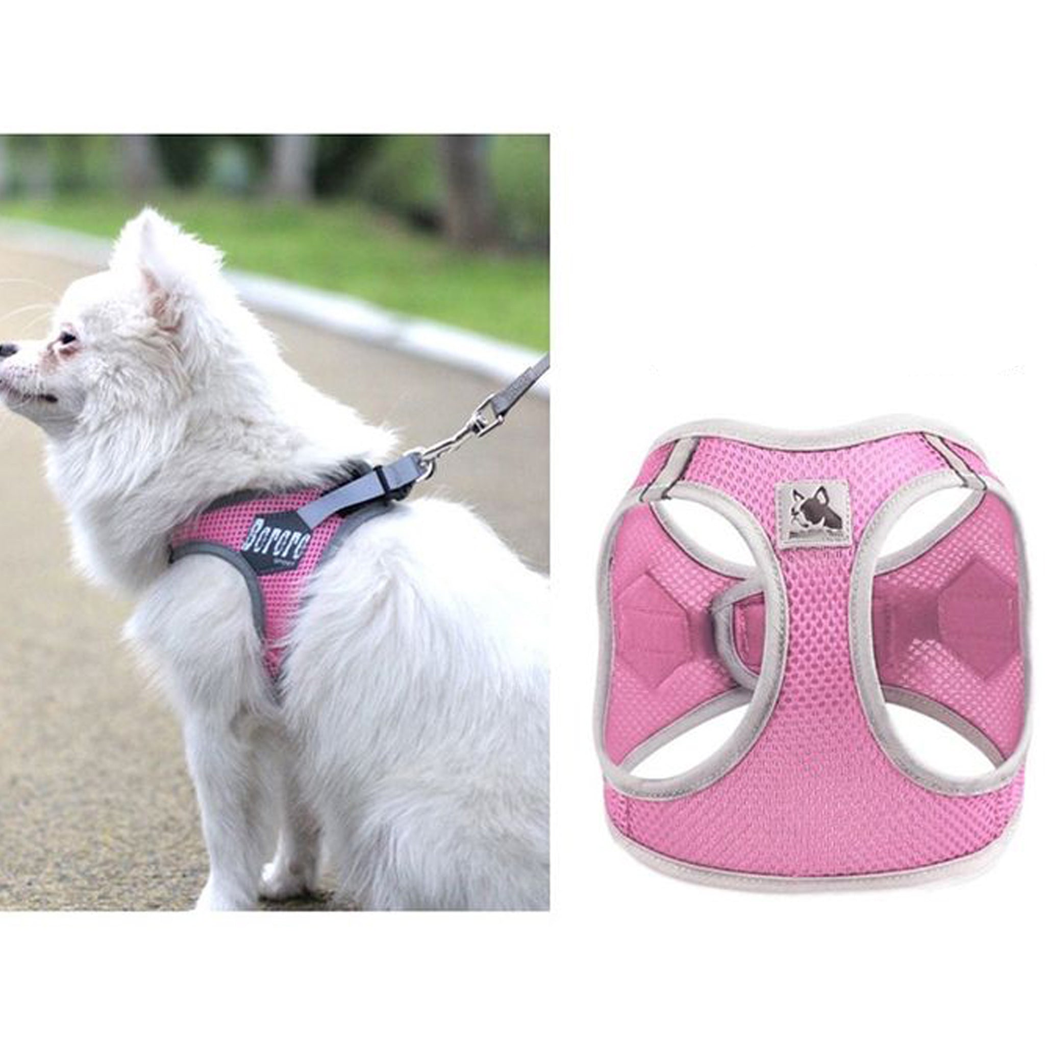 Zračan oprsnica v roza barvi na belem psu.