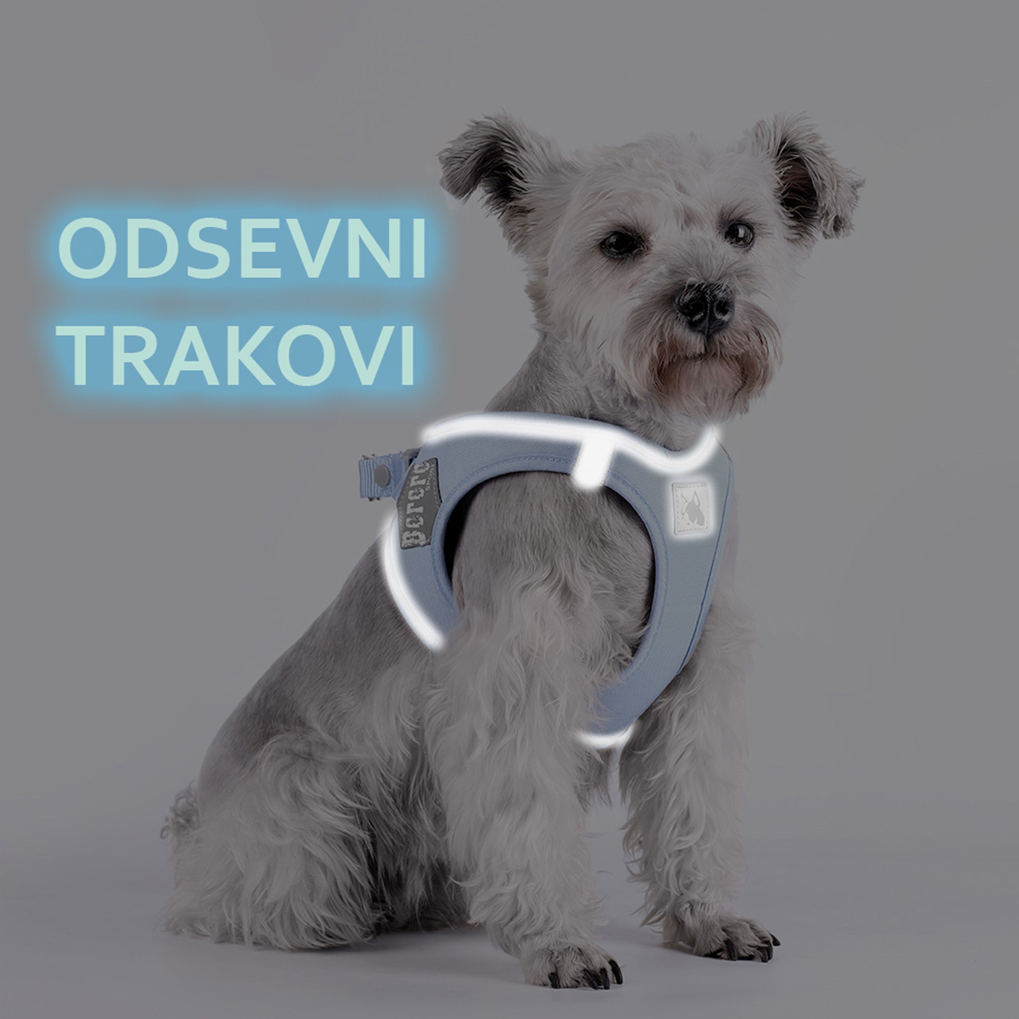 Prikaz odsevnih trakov odsevne oprsnice