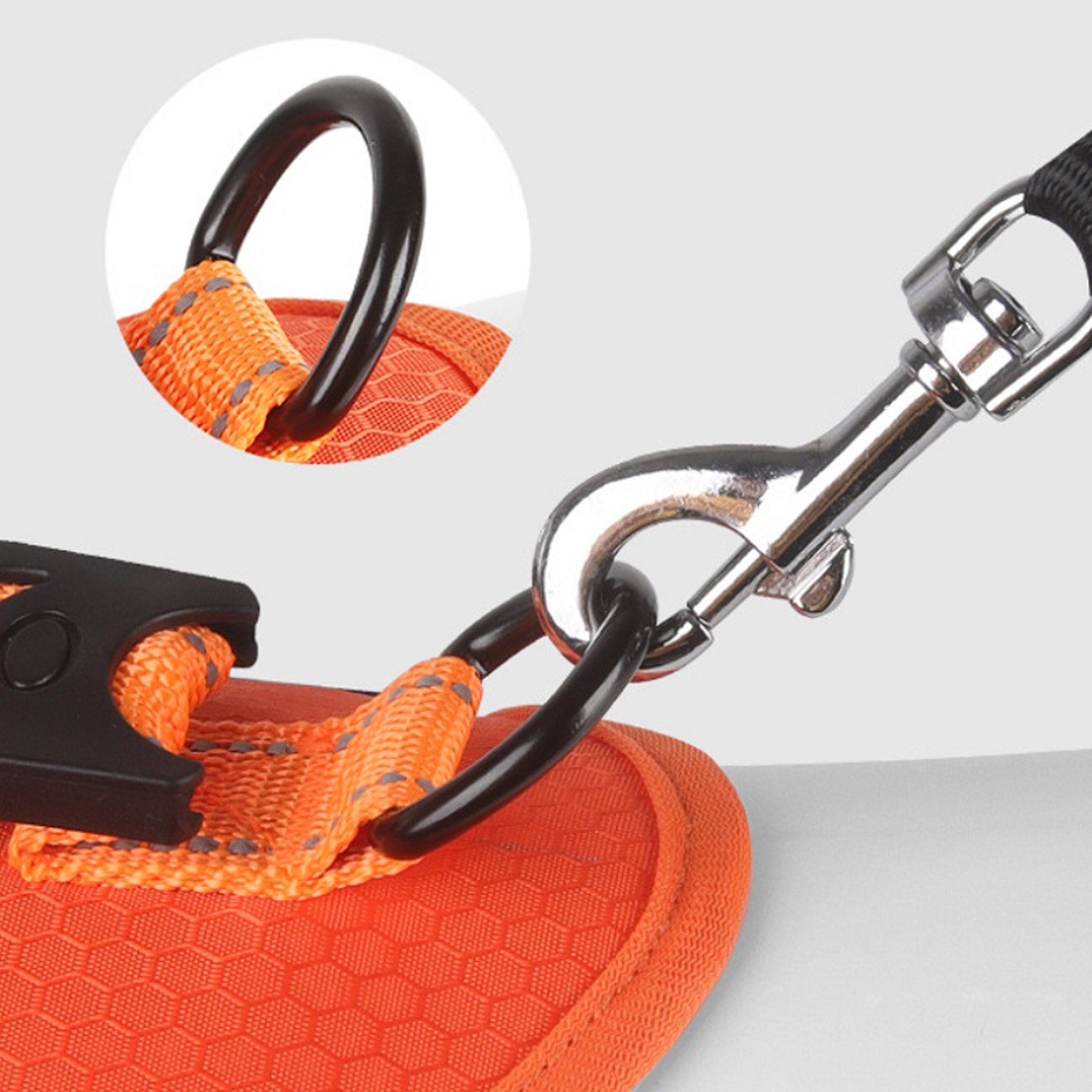 Močen d obroč za pripenjanje povodca