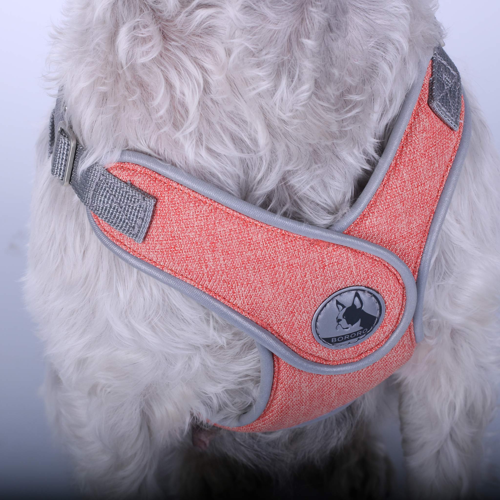 Oranžna oprsnica za male pse prikazana od blizu.