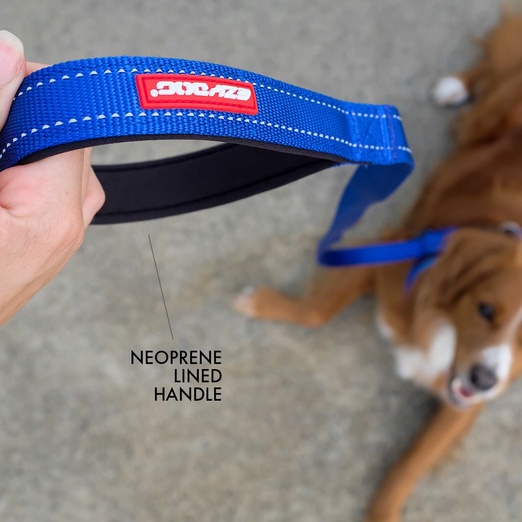 EzyDog │ Povodec za pse │ Essential Leash