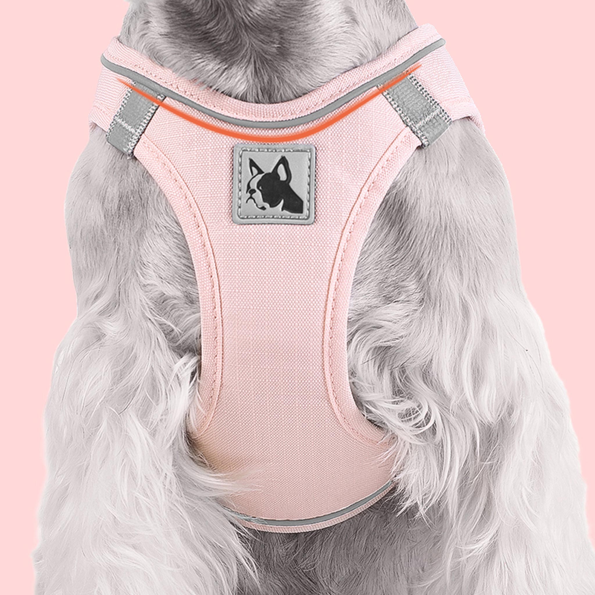 Roza odsevna oprsnica prikazana iz sprednje strani.