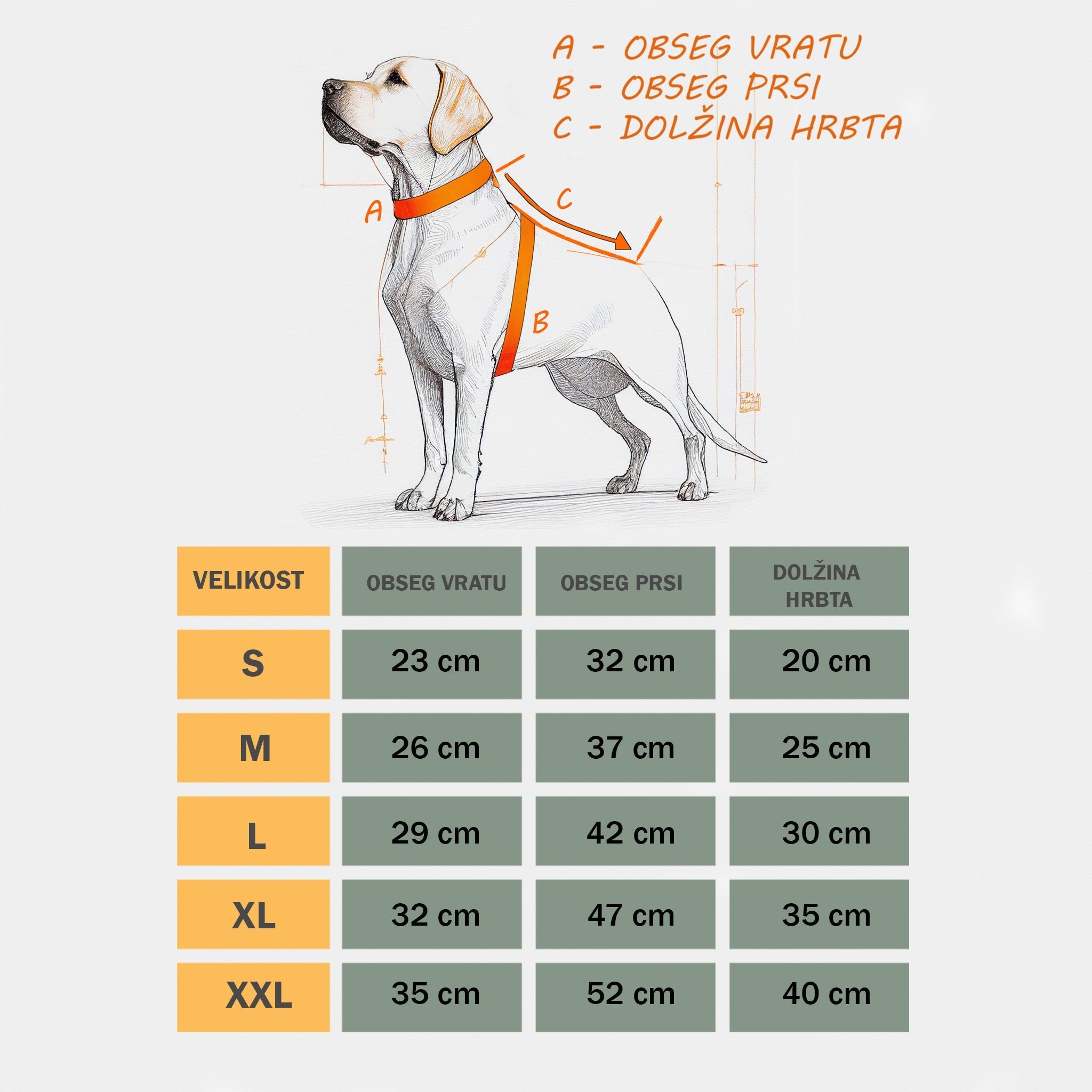 Tabela velikosti za zimsko vojaško jakno za pse