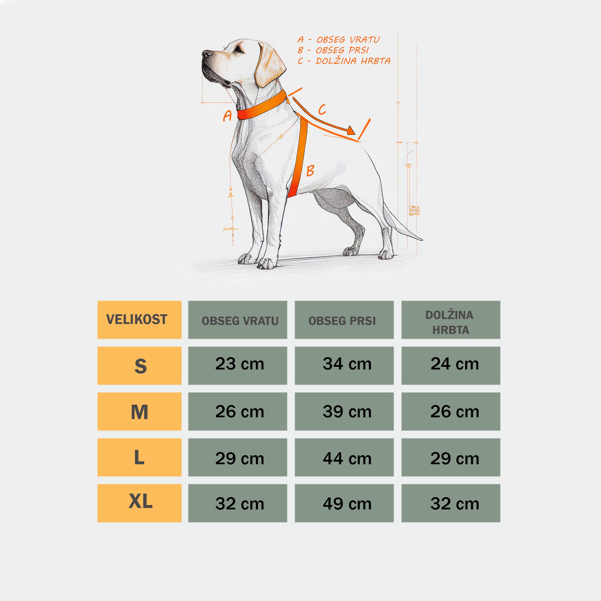 Tabela velikosti za pasji pulover s kapuco