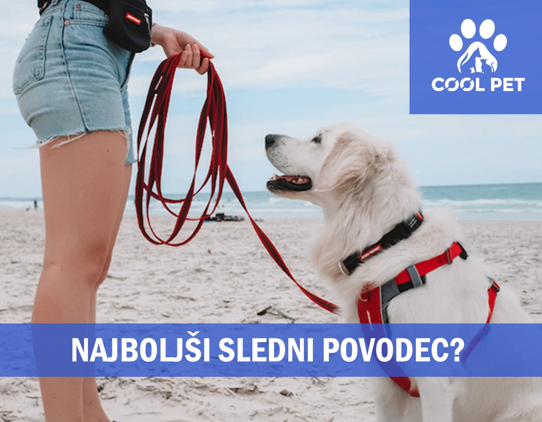 Ali je to najboljši sledni povodec? Ezy Dog - Track N Train