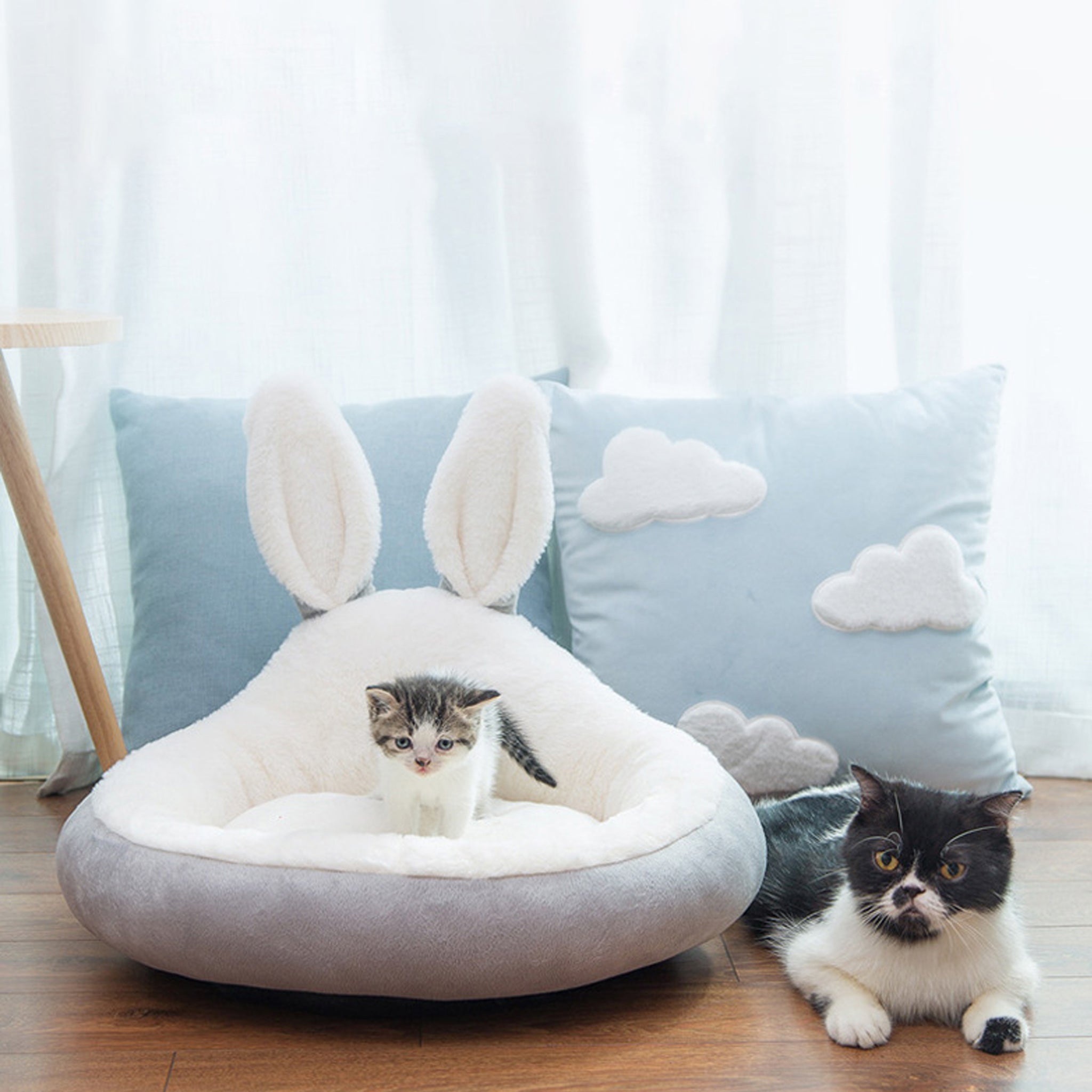 Dva mačka na sivi postelji za pse.