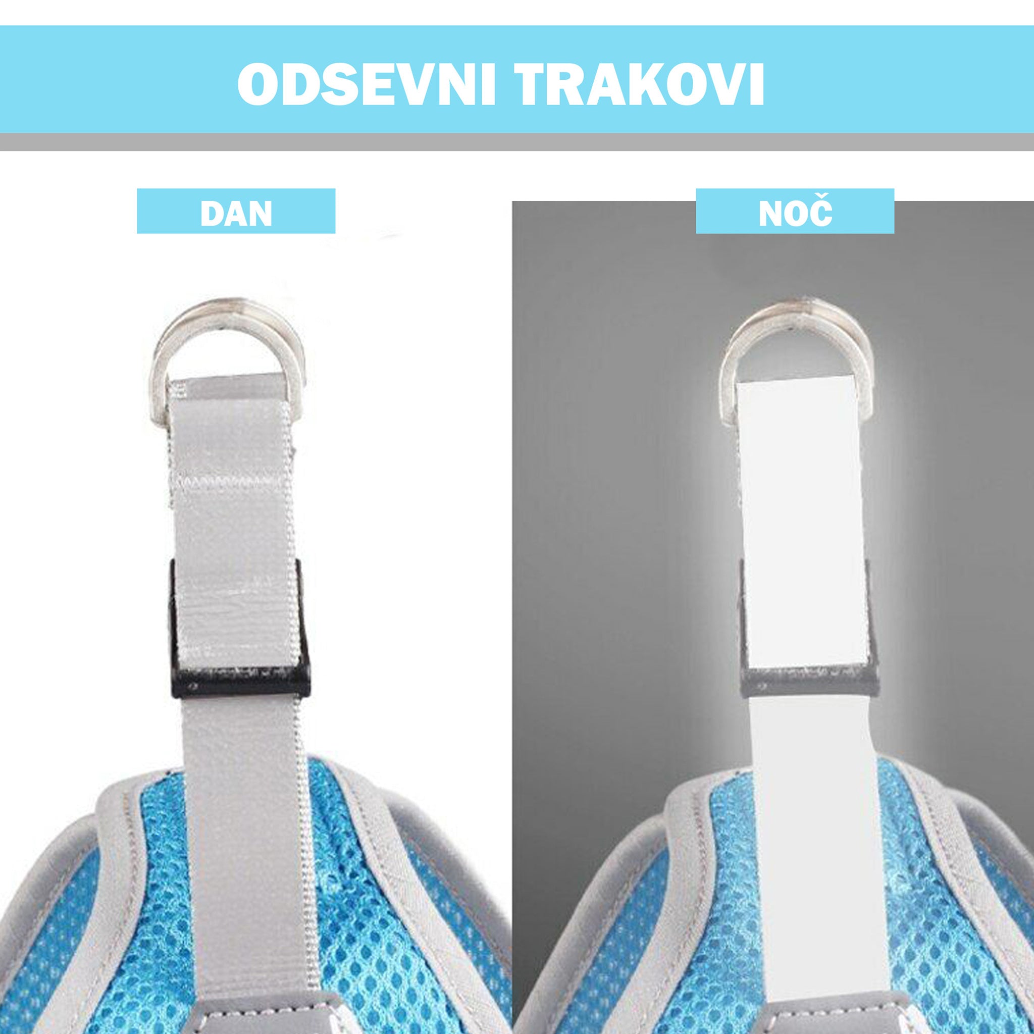 Odsevni trakovi pasje oprsnice