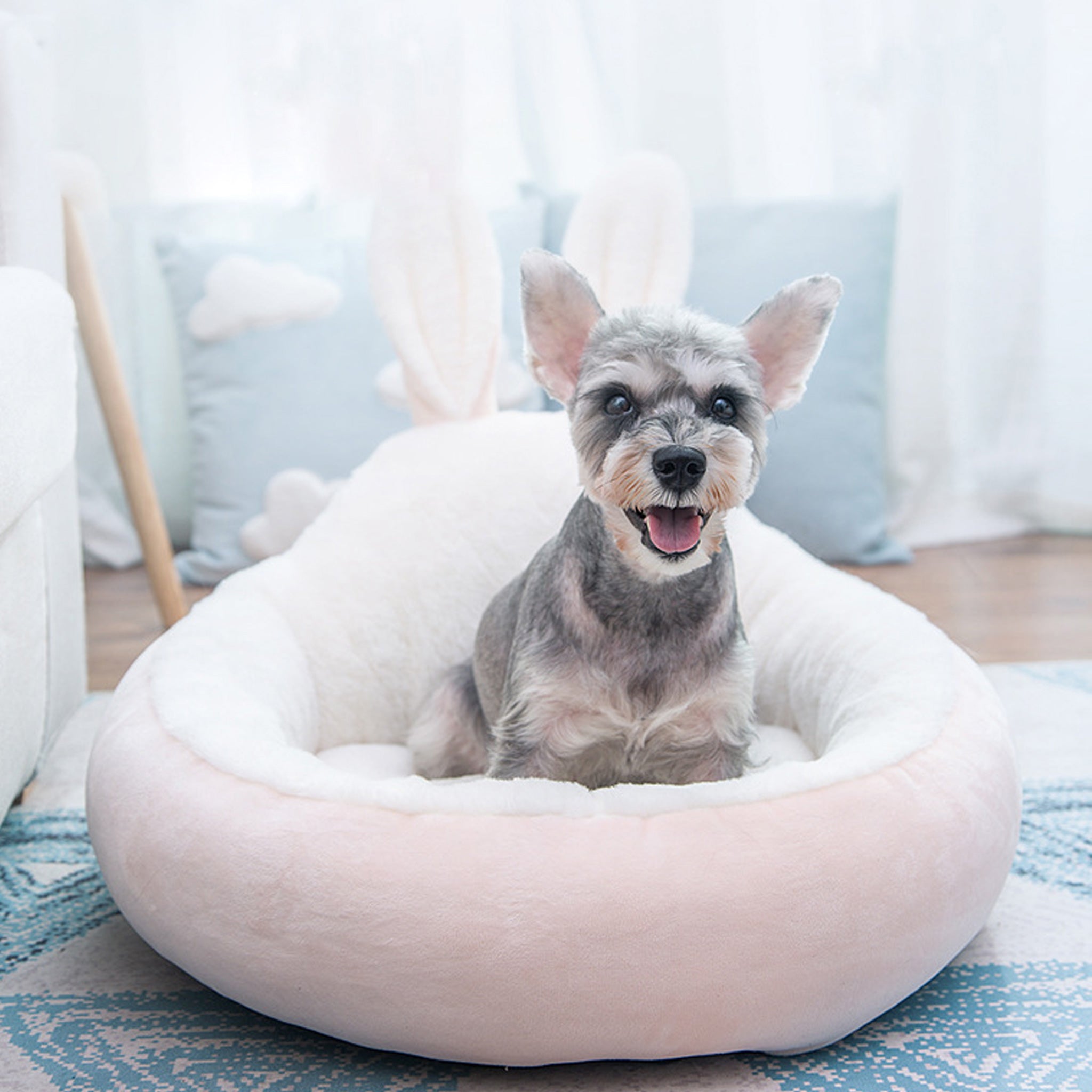 Siv pes veselo sedi v roza pasji postelji